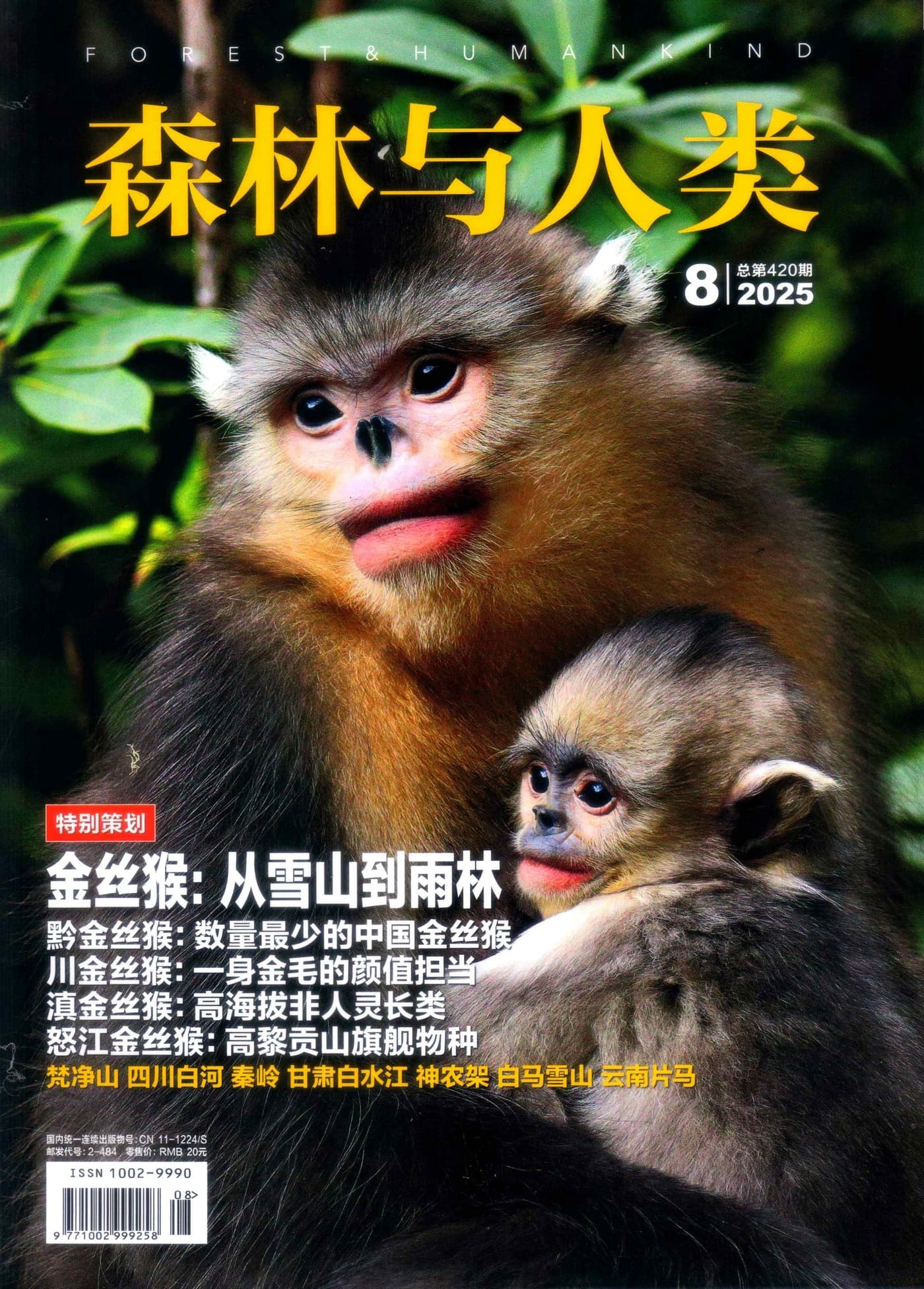 森林与人类 2024-2025全年合集 PDF