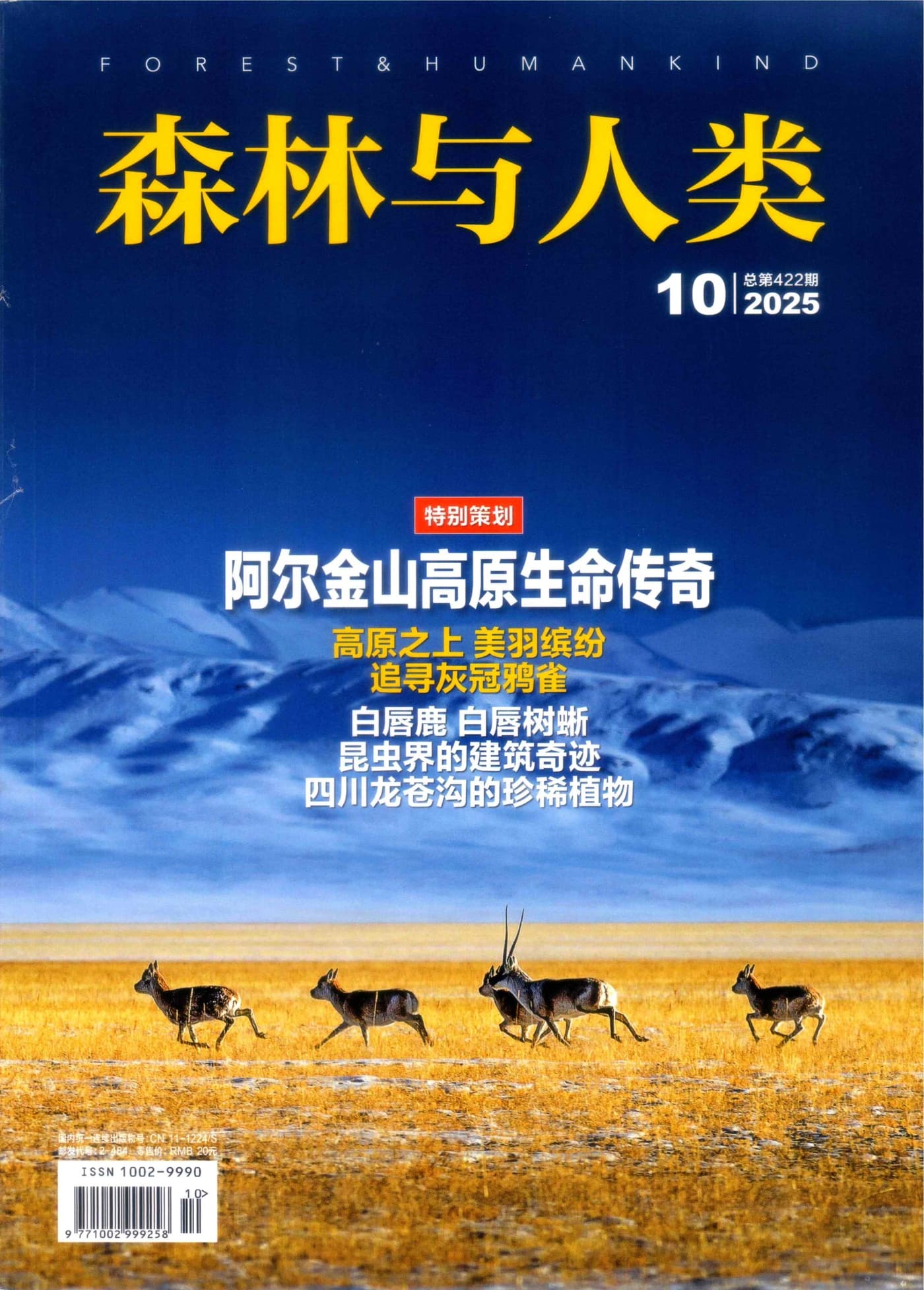 森林与人类 2024-2025全年合集 PDF