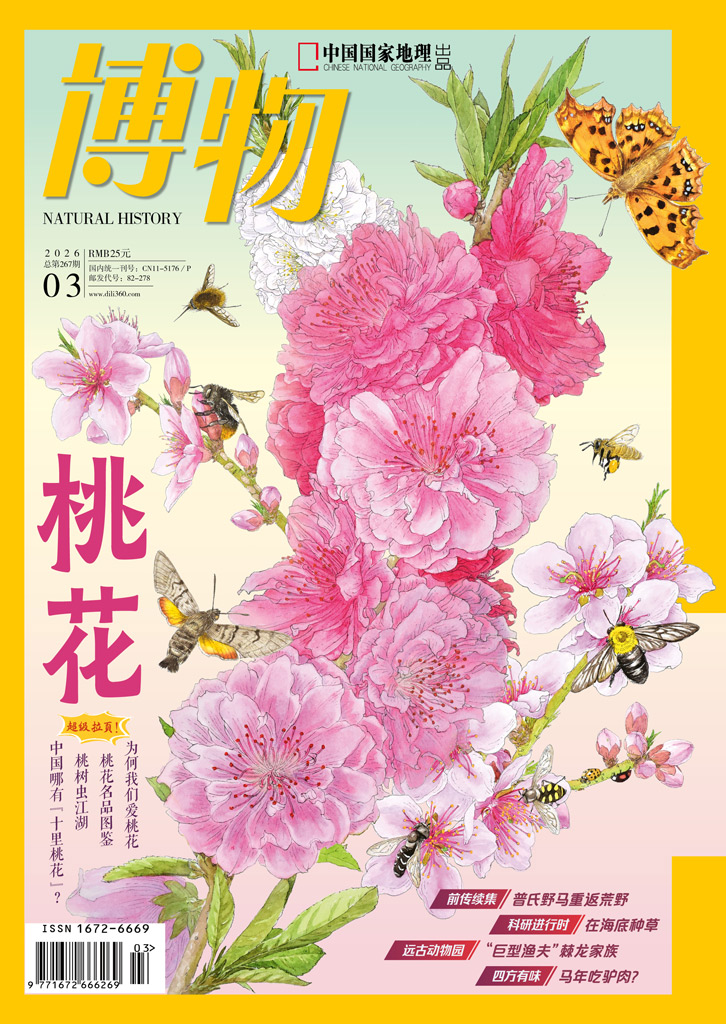 博物 2026全年1-12月共12期 PDF